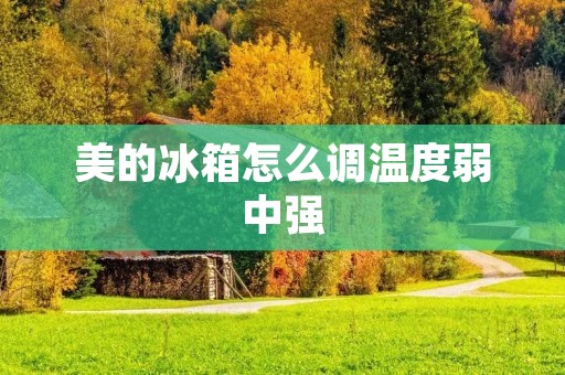 美的冰箱怎么调温度弱中强:详细解析 美的冰箱怎么调温度弱中强:详细解析