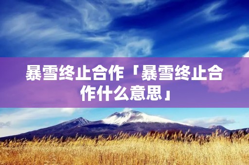 暴雪终止合作「暴雪终止合作什么意思」