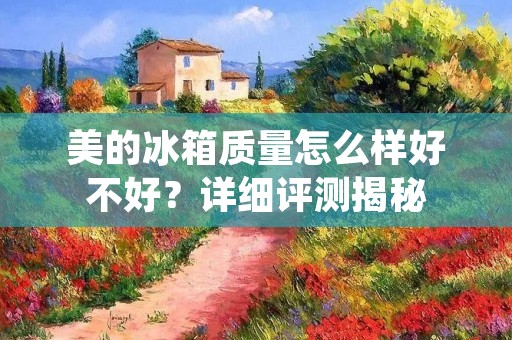 美的冰箱质量怎么样好不好？详细评测揭秘