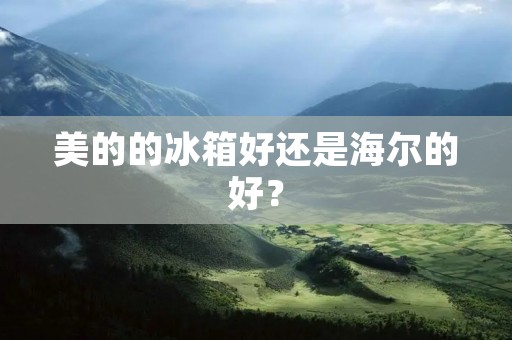 美的的冰箱好还是海尔的好? 美的的冰箱好还是海尔的好?