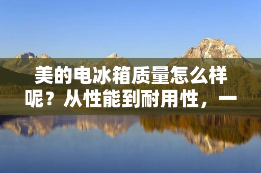 美的电冰箱质量怎么样呢?从性能到耐用性,一一揭秘 美的电冰箱质量怎么样呢?从性能到耐用性,一一揭秘