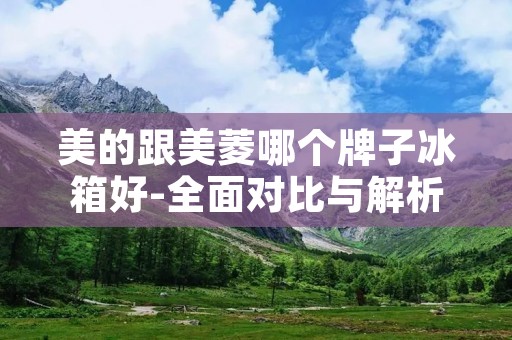 美的跟美菱哪个牌子冰箱好-全面对比与解析