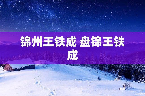锦州王铁成 盘锦王铁成