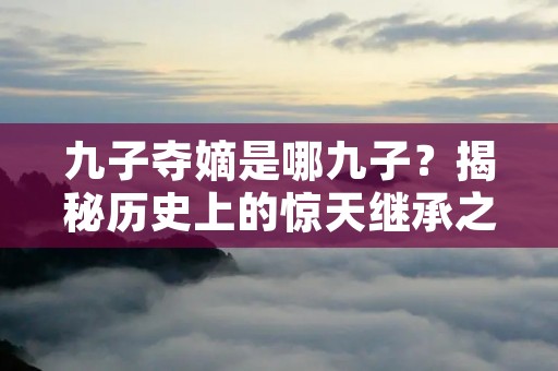 九子夺嫡是哪九子？揭秘历史上的惊天继承之争