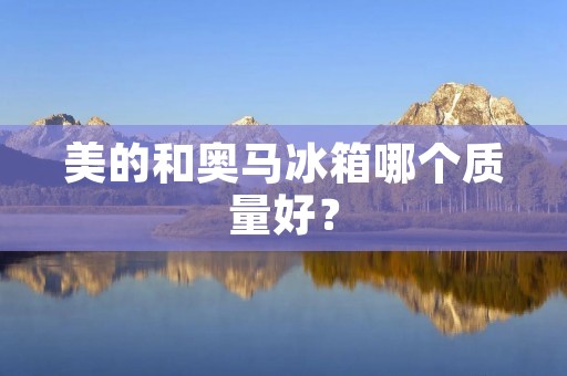 美的和奥马冰箱哪个质量好？