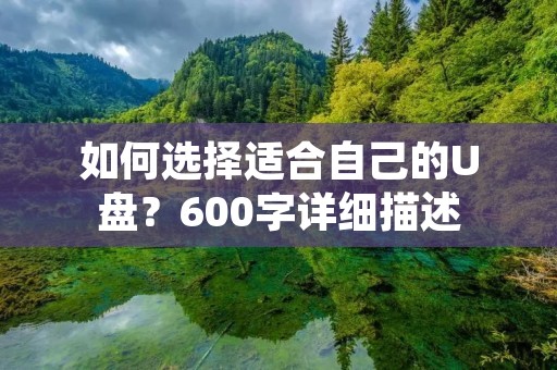 如何选择适合自己的U盘？600字详细描述