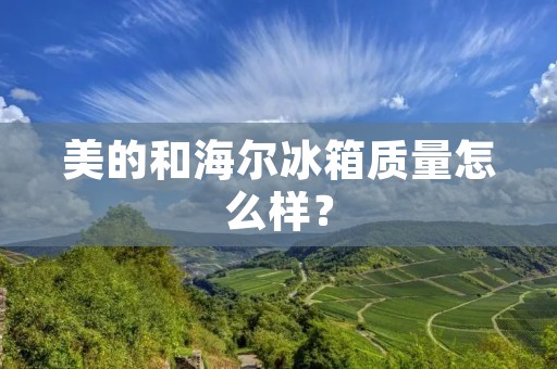 美的和海尔冰箱质量怎么样? 美的和海尔冰箱质量怎么样?