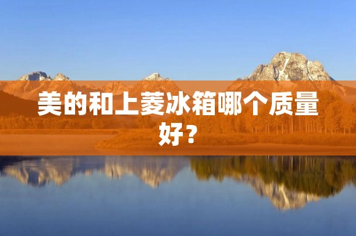 美的和上菱冰箱哪个质量好? 美的和上菱冰箱哪个质量好?