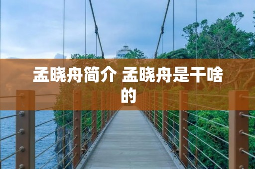 孟晓舟简介 孟晓舟是干啥的
