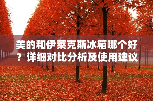 美的和伊莱克斯冰箱哪个好?详细对比分析及使用建议 美的和伊莱克斯冰箱哪个好?详细对比分析及使用建议