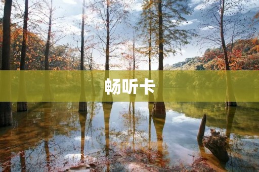 畅听卡:为您带来全新音乐体验 畅听卡:为您带来全新音乐体验