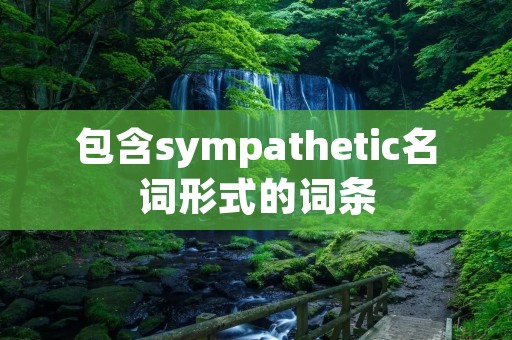 包含sympathetic名词形式的词条