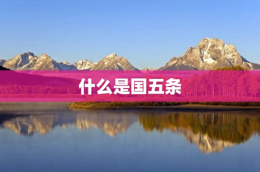 什么是国五条 什么是国五条
