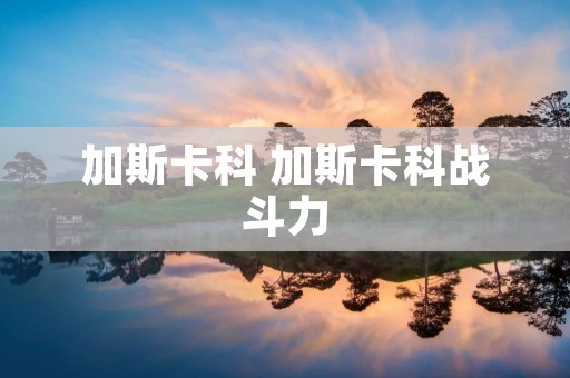 加斯卡科 加斯卡科战斗力