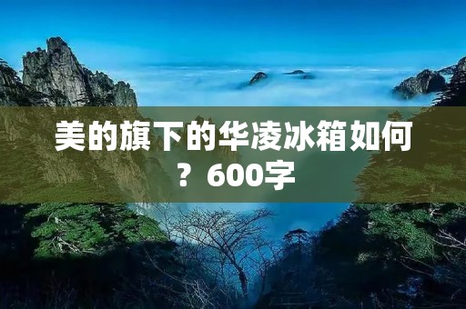 美的旗下的华凌冰箱如何？600字