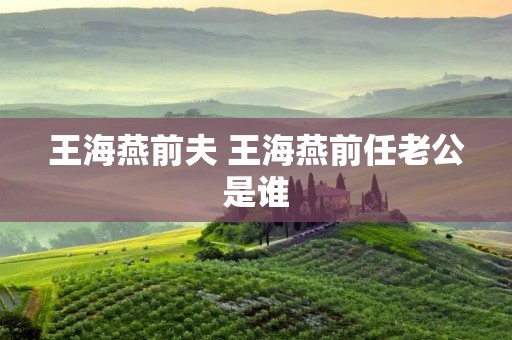 王海燕前夫 王海燕前任老公是谁