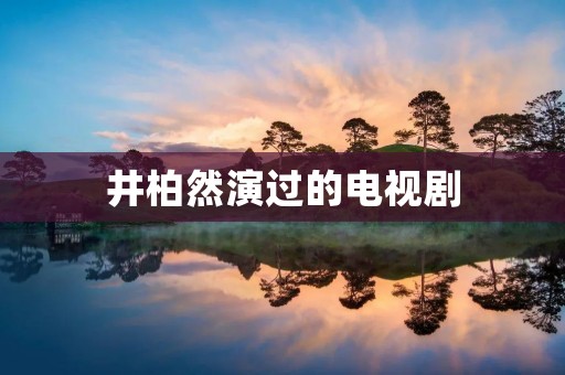 井柏然演过的电视剧：追梦赤子心