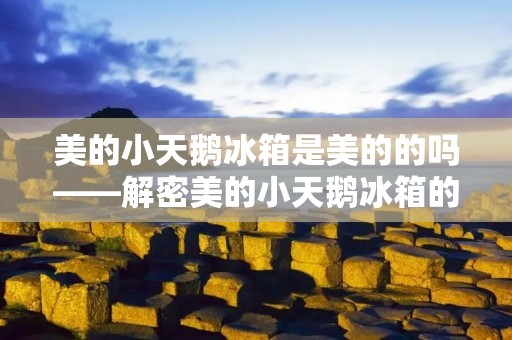 美的小天鹅冰箱是美的的吗——解密美的小天鹅冰箱的优势与特点