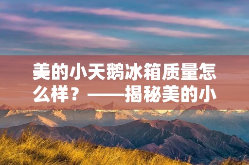 美的小天鹅冰箱质量怎么样？——揭秘美的小天鹅冰箱的品质与性能