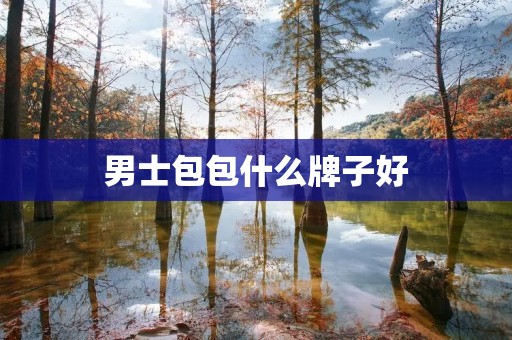 男士包包什么牌子好 男士包包什么牌子好