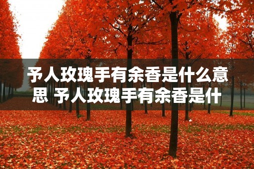 予人玫瑰手有余香是什么意思 予人玫瑰手有余香是什么意思是什么