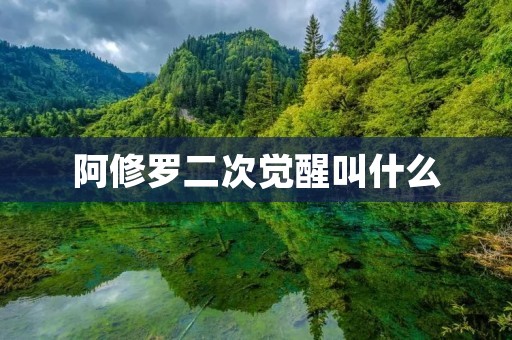 阿修罗二次觉醒叫什么