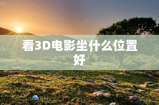 看3D电影坐什么位置好