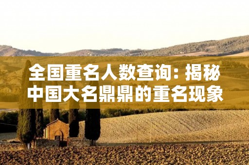 全国重名人数查询: 揭秘中国大名鼎鼎的重名现象 全国重名人数查询: 揭秘中国大名鼎鼎的重名现象