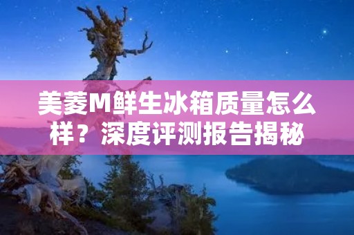 美菱M鲜生冰箱质量怎么样？深度评测报告揭秘