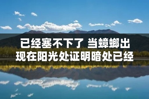 已经塞不下了 当蟑螂出现在阳光处证明暗处已经塞不下了 已经塞不下了 当蟑螂出现在阳光处证明暗处已经塞不下了