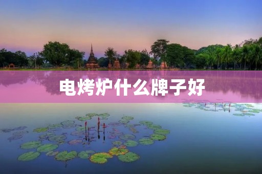 电烤炉什么牌子好 电烤炉什么牌子好