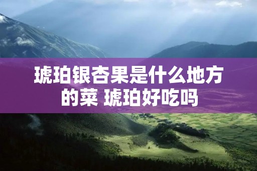 琥珀银杏果是什么地方的菜 琥珀好吃吗