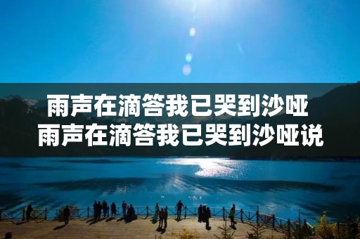 雨声在滴答我已哭到沙哑 雨声在滴答我已哭到沙哑说说