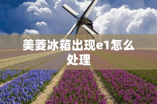 美菱冰箱出现e1怎么处理 美菱冰箱出现e1怎么处理