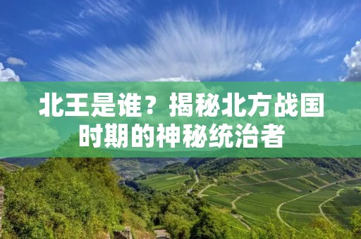 北王是谁?揭秘北方战国时期的神秘统治者 北王是谁?揭秘北方战国时期的神秘统治者