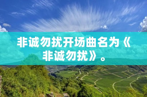 非诚勿扰开场曲名为《非诚勿扰》。