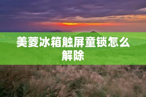 美菱冰箱触屏童锁怎么解除