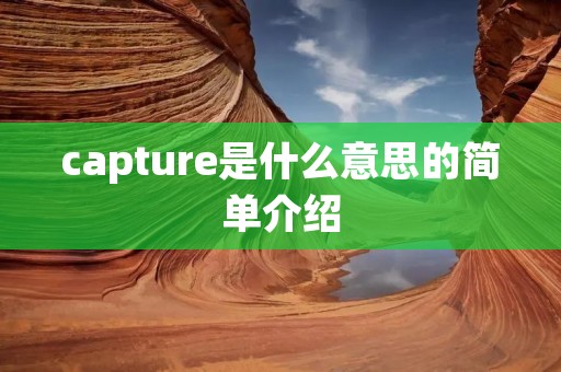 capture是什么意思的简单介绍 capture是什么意思的简单介绍
