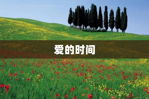 爱的时间:在日常琐事中珍视每一刻的爱 爱的时间:在日常琐事中珍视每一刻的爱