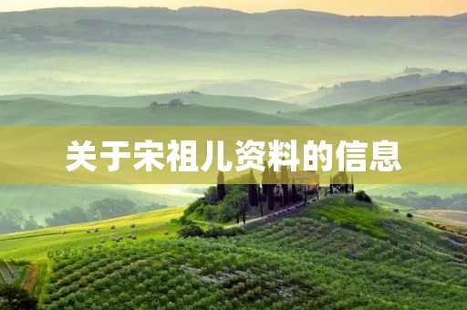 关于宋祖儿资料的信息