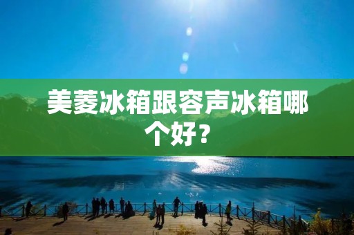 美菱冰箱跟容声冰箱哪个好? 美菱冰箱跟容声冰箱哪个好?