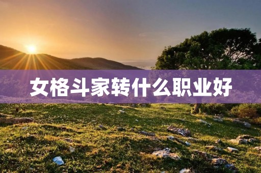 女格斗家转什么职业好 女格斗家转什么职业好