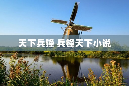 天下兵锋 兵锋天下小说 天下兵锋 兵锋天下小说