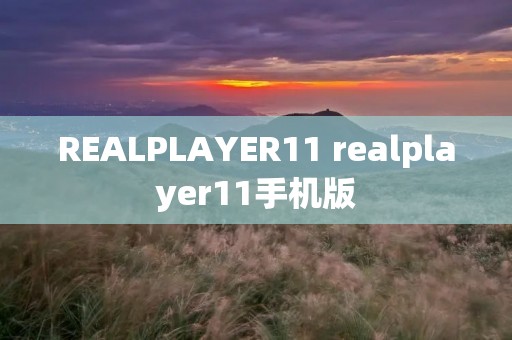 REALPLAYER11 realplayer11手机版