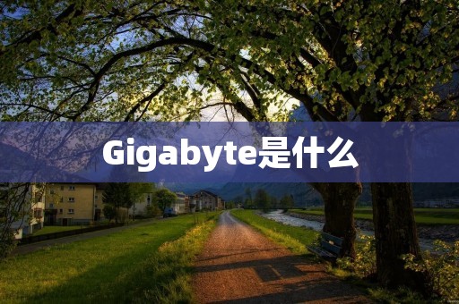 Gigabyte是什么 Gigabyte是什么
