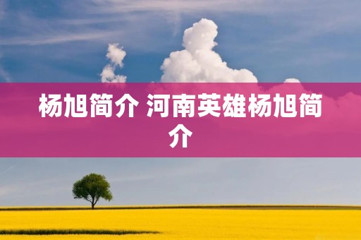 杨旭简介 河南英雄杨旭简介