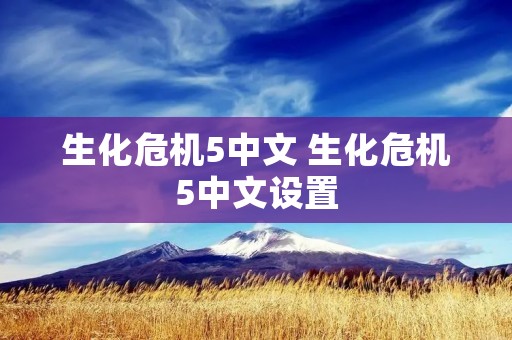 生化危机5中文 生化危机5中文设置 生化危机5中文 生化危机5中文设置