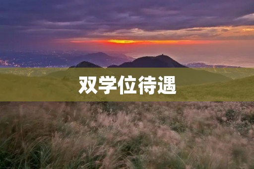 双学位待遇：开启职场新纪元