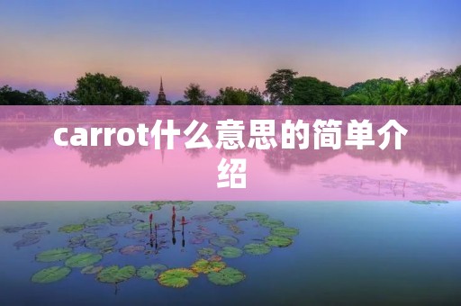 carrot什么意思的简单介绍