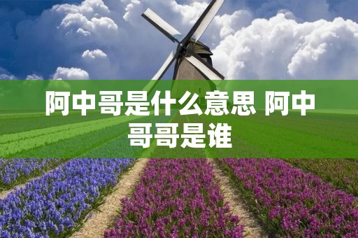 阿中哥是什么意思 阿中哥哥是谁 阿中哥是什么意思 阿中哥哥是谁